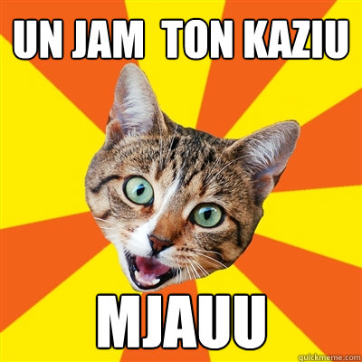 un jam  ton kaziu mjauu  Bad Advice Cat