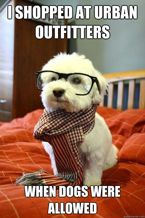 I shopped at Urban Outfitters When dogs were allowed  Hipster Dog