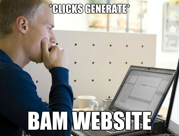 *CLICKS GENERATE*
 BAM WEBSITE  Programmer