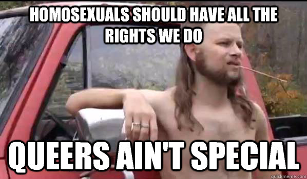 homosexuals should have all the rights we do queers ain't special  Almost Politically Correct Redneck