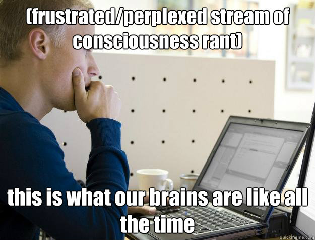 (frustrated/perplexed stream of consciousness rant) this is what our brains are like all the time  Programmer