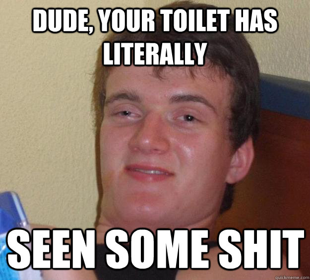 Dude, your toilet has literally  seen some shit  10 Guy