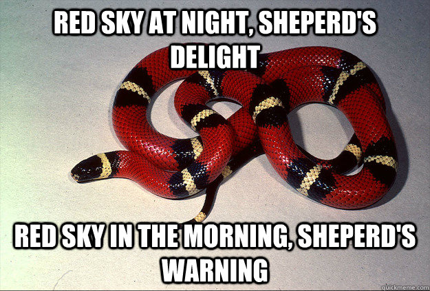 red sky at night, sheperd's delight red sky in the morning, sheperd's warning - red sky at night, sheperd's delight red sky in the morning, sheperd's warning  Safety Snake