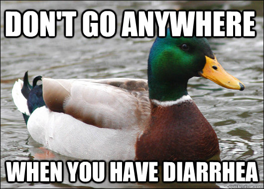 don't go anywhere when you have diarrhea  Actual Advice Mallard