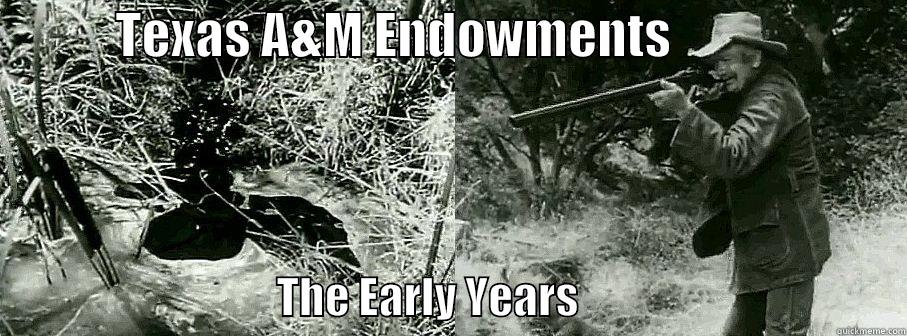            TEXAS A&M ENDOWMENTS                                                         THE EARLY YEARS                                      Misc