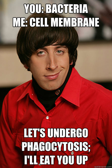 You: Bacteria
Me: Cell membrane Let's undergo phagocytosis;
I'll eat you up - You: Bacteria
Me: Cell membrane Let's undergo phagocytosis;
I'll eat you up  Pickup Line Scientist