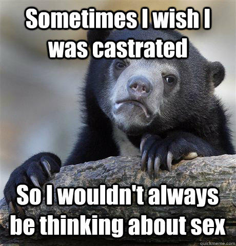 Sometimes I wish I was castrated So I wouldn't always be thinking about sex  Confession Bear