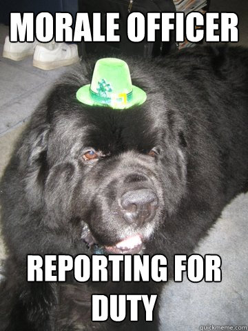 Morale officer Reporting for duty - Morale officer Reporting for duty  St Patricks day dog