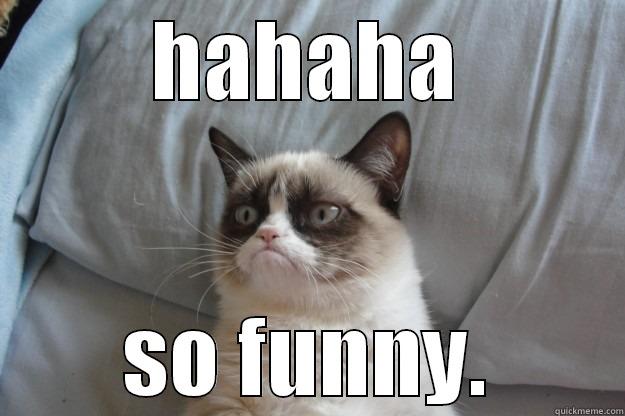 LOL uiasyu iuashyiu uadsib - HAHAHA SO FUNNY. Grumpy Cat