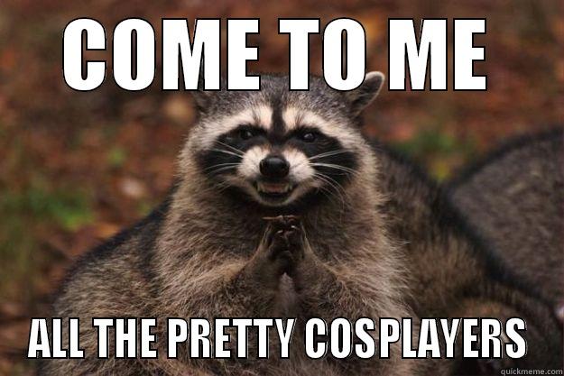 COME TO ME ALL THE PRETTY COSPLAYERS Evil Plotting Raccoon