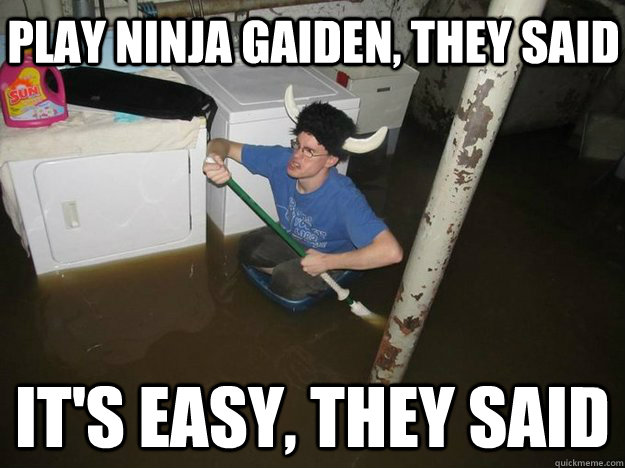 play ninja gaiden, they said It's easy, they said  Do the laundry they said