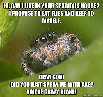 Hi, can i live in your spacious house? I promise to eat flies and keep to myself. dear god!
 did you just spray me with axe? You're crazy blake!  Misunderstood Spider