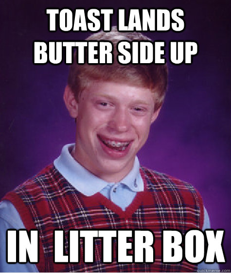 toast lands butter side up in  litter box  Bad Luck Brian