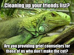 Cleaning up your friends list? Are you providing grief counselors for those of us who don't make the cut?  Irritated Iguana