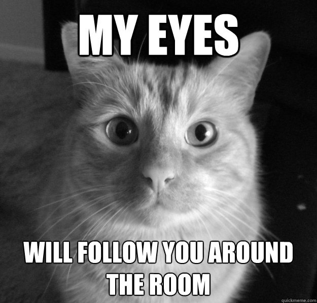 My eyes  will follow you around the room
  
