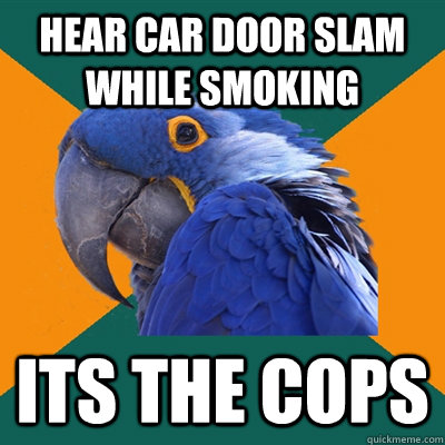 Hear car door slam while smoking Its the cops  Paranoid Parrot