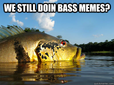 we still doin bass memes?  - we still doin bass memes?   over-confident Bass