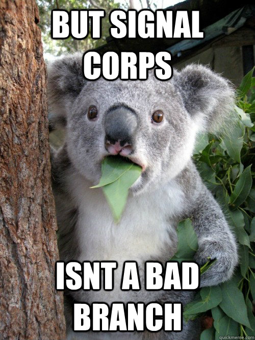 But signal corps isnt a bad branch  Surprised Koala