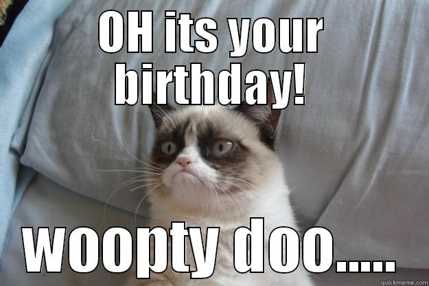 OH ITS YOUR BIRTHDAY! WOOPTY DOO..... Grumpy Cat