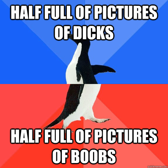 Half full of pictures of dicks Half full of pictures of boobs  Socially Awkward Awesome Penguin