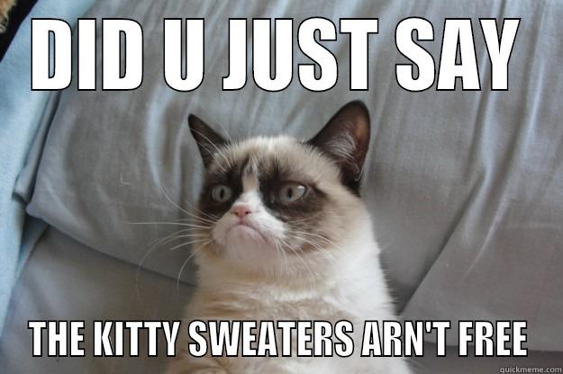 DID U JUST SAY THE KITTY SWEATERS ARN'T FREE Grumpy Cat