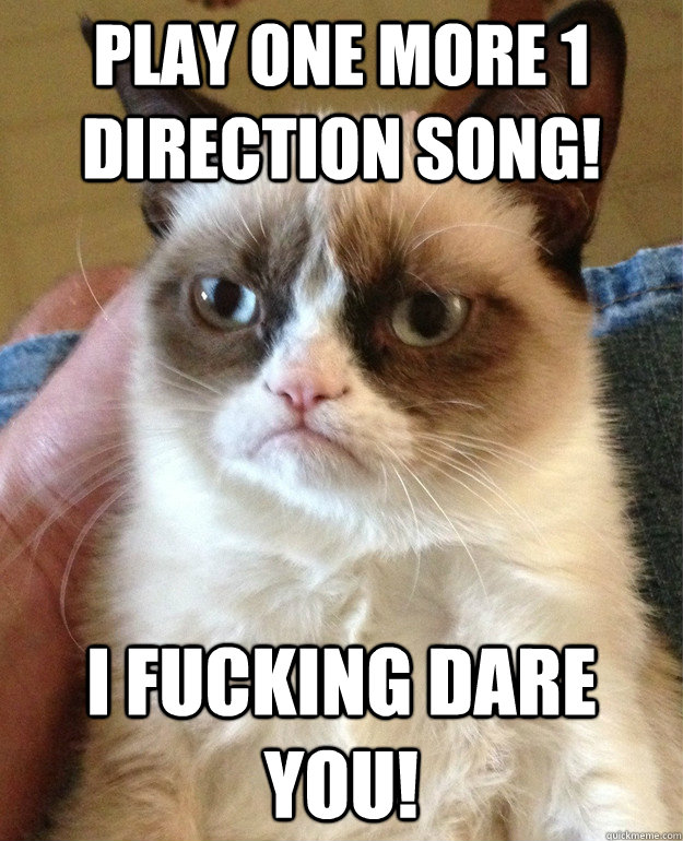 Play one more 1 direction song! I FUCKING DARE YOU!  Grumpy Cat