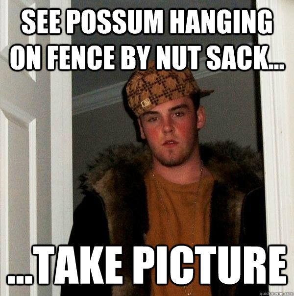 See possum hanging on fence by nut sack... ...Take picture - See possum hanging on fence by nut sack... ...Take picture  Scumbag Steve