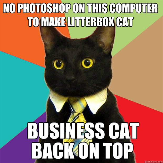 No photoshop on this computer to make litterbox cat business cat
 back on top  Business Cat