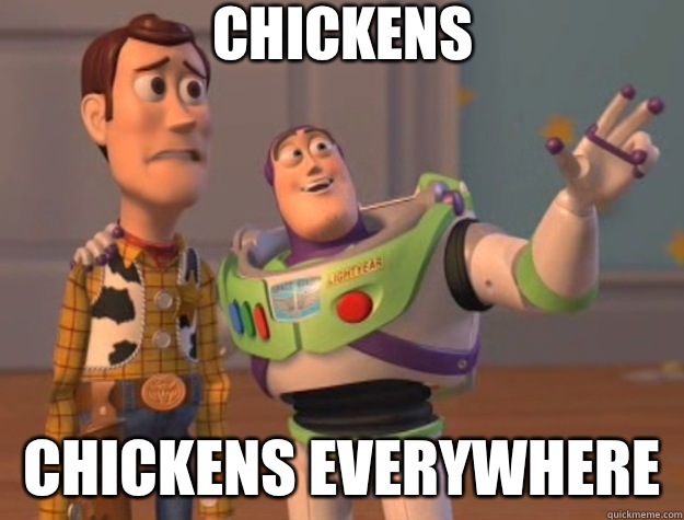 Chickens Chickens everywhere  Toy Story