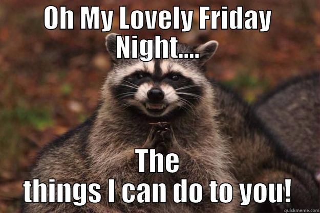 OH MY LOVELY FRIDAY NIGHT.... THE THINGS I CAN DO TO YOU! Evil Plotting Raccoon