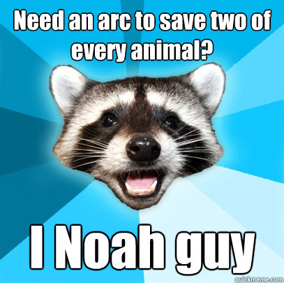 Need an arc to save two of every animal? I Noah guy  Lame Pun Coon