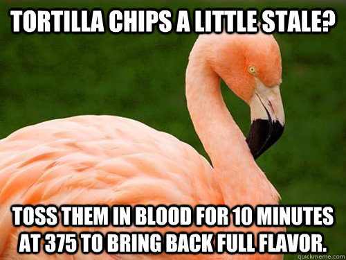 Tortilla chips a little stale? toss them in blood for 10 minutes at 375 to bring back full flavor.  Angry Advice Flamingo