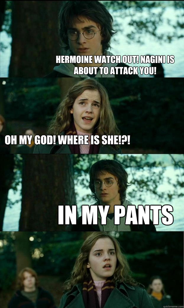 Hermoine watch out! Nagini is about to attack you! Oh my God! Where is she!?! In my pants  Horny Harry