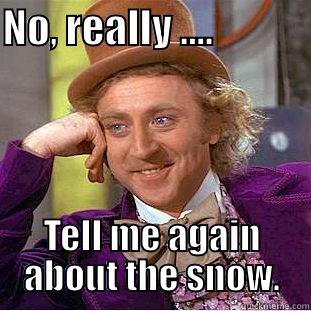 NO, REALLY ....             TELL ME AGAIN ABOUT THE SNOW. Condescending Wonka