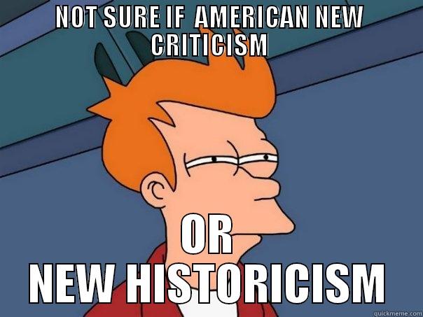 NOT SURE IF  AMERICAN NEW CRITICISM OR NEW HISTORICISM Futurama Fry