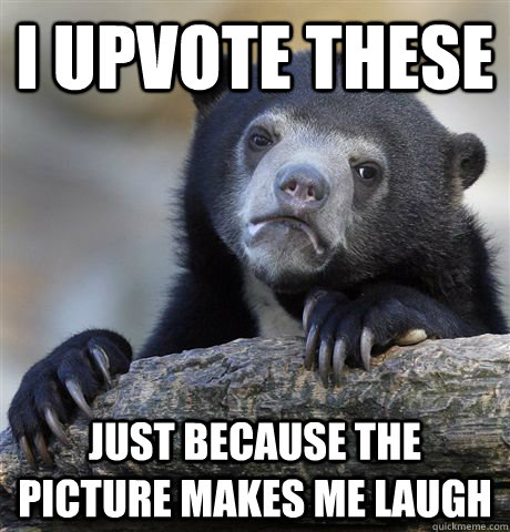 i Upvote these Just because the picture makes me laugh  Confession Bear