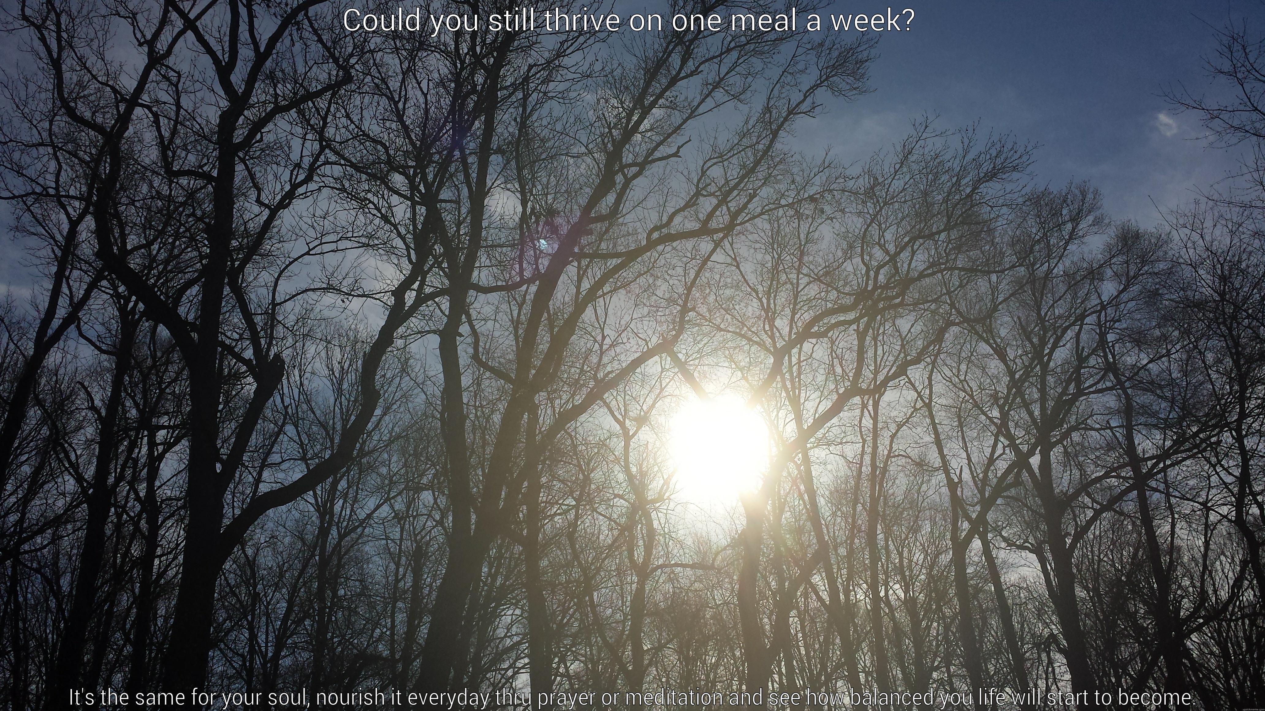 soul survival - COULD YOU STILL THRIVE ON ONE MEAL A WEEK?  IT'S THE SAME FOR YOUR SOUL, NOURISH IT EVERYDAY THRU PRAYER OR MEDITATION AND SEE HOW BALANCED YOU LIFE WILL START TO BECOME. Misc