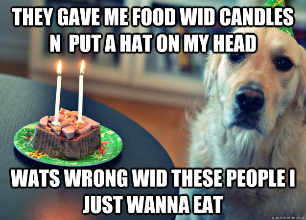 they gave me food wid candles n  put a hat on my head wats wrong wid these people i just wanna eat  Sad Birthday Dog