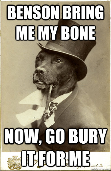 benson bring me my bone now, go bury it for me - benson bring me my bone now, go bury it for me  Old Money Dog