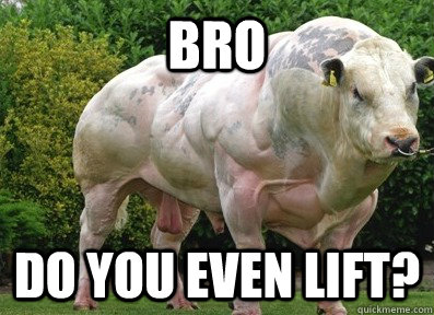 BRO Do you even lift?  Roid Rage Bull