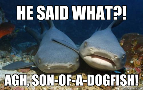 He said what?! Agh, son-of-a-dogfish! - He said what?! Agh, son-of-a-dogfish!  Compassionate Shark Friend