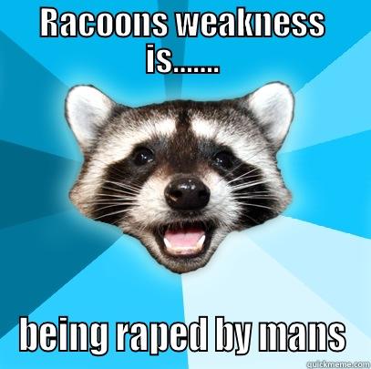 RACOONS WEAKNESS IS……. BEING RAPED BY MANS Lame Pun Coon