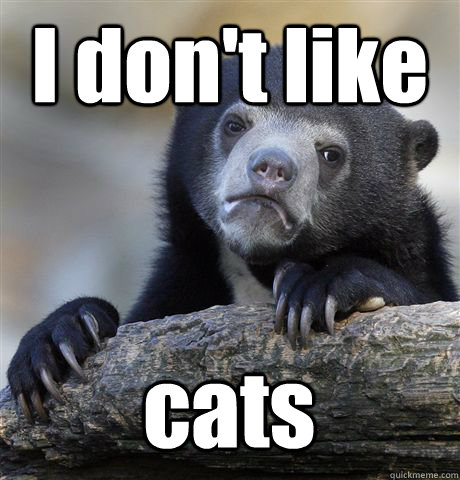 I don't like cats  Confession Bear