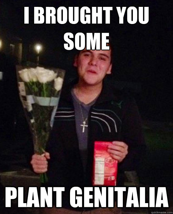 I brought you some Plant genitalia  Friendzone Johnny