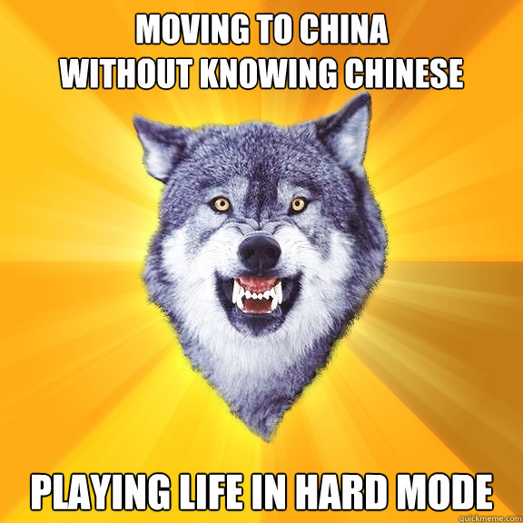 Moving to China
without knowing chinese Playing life in hard mode  Courage Wolf