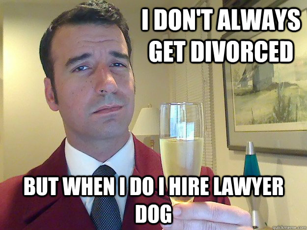 I don't always get divorced  but when I do I hire Lawyer Dog  Fabulous Divorced Guy