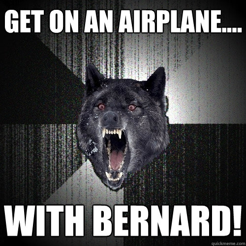 Get on an airplane.... With Bernard!  Insanity Wolf