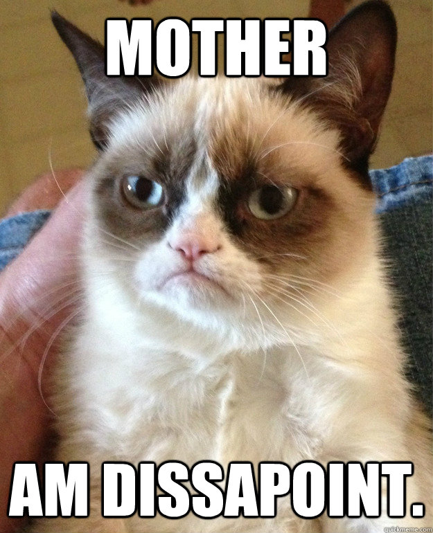 Mother Am dissapoint. - Mother Am dissapoint.  Grumpy Cat