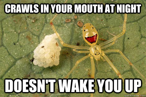 crawls in your mouth at night doesn't wake you up - crawls in your mouth at night doesn't wake you up  Misc