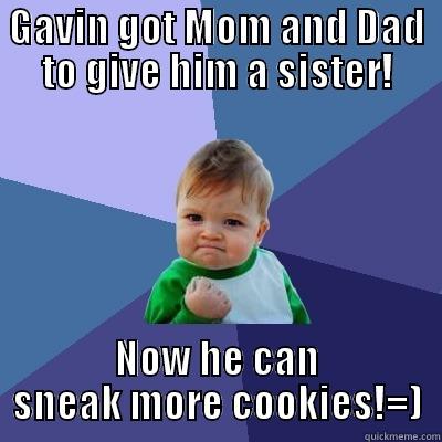 new baby sister - GAVIN GOT MOM AND DAD TO GIVE HIM A SISTER! NOW HE CAN SNEAK MORE COOKIES!=) Success Kid